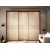 Medium Density Fiberboard Wardrobe sliding door